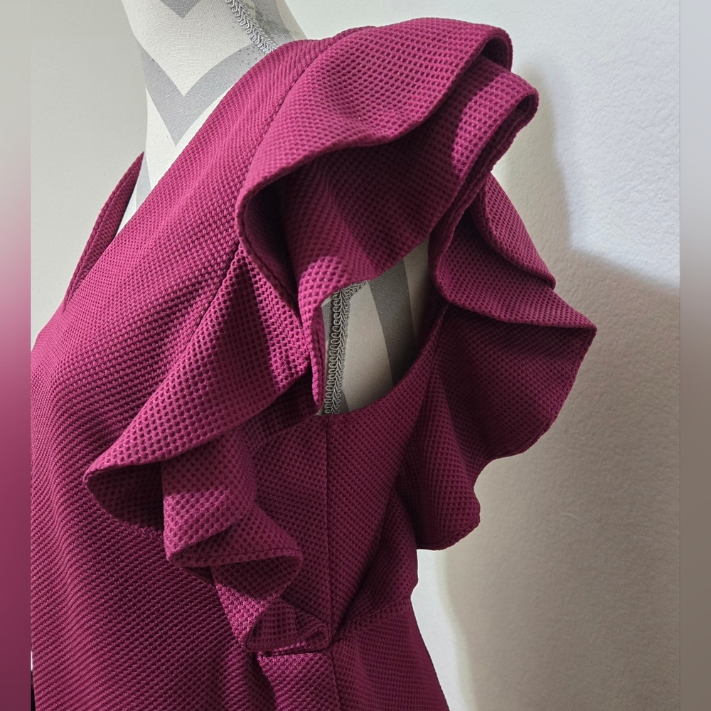 SHE + SKY Magenta Ruffle Short Sleeve V-Neck Dress Size Large - Picture 5 of 11